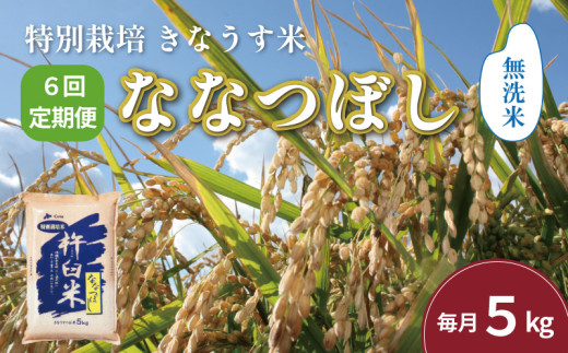 【無洗米6ヶ月定期便】特別栽培「きなうす米」ななつぼし5kg×6回　K005