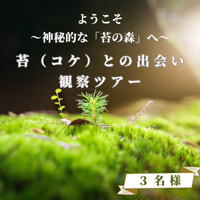 【ふるさと納税】青苔荘　苔（コケ）との出会い　観察ツアー優待券　3名様用 [SE-103]