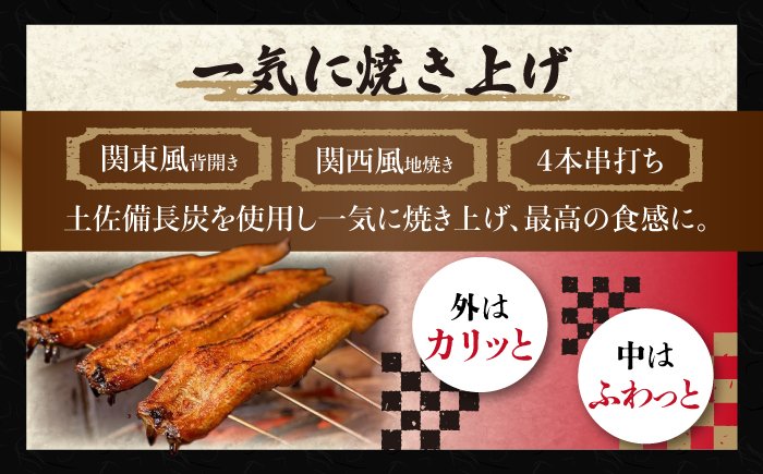 高知焼き鰻蒲焼3尾 / 蒲焼き かば焼き たれ タレ うなぎ ウナギ 鰻 小分け 個包装 パック 冷凍 冷凍食品 国産 おかず 簡単調理 調理済 時短 オーブントースター 魚焼きグリル 【鰻HASHI