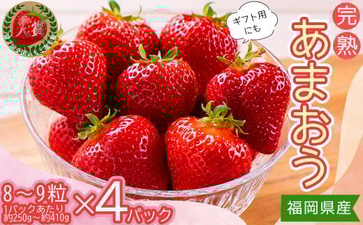 3Z2-S 暖家のいちご　ギフト用完熟あまおう（８粒～９粒）×4パック