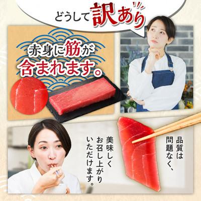 ふるさと納税 三浦市 【訳あり】老舗三崎まぐろ問屋から直送!新鮮天然マグロ赤身サク 800g |  | 03