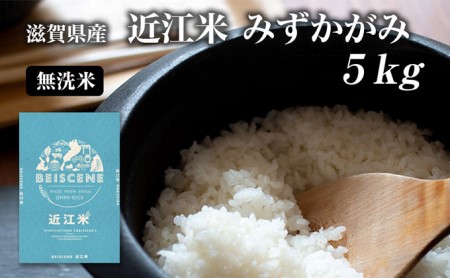 令和7年産新米 滋賀県豊郷町産　近江米 みずかがみ　無洗米　5kg お米 