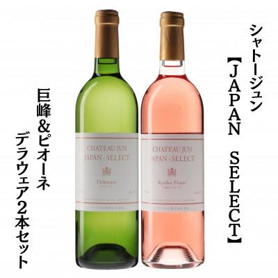 ふるさと納税 甲州市 シャトージュン　【JAPAN SELECT】巨峰&amp;ピオーネ　デラウェア2本セット