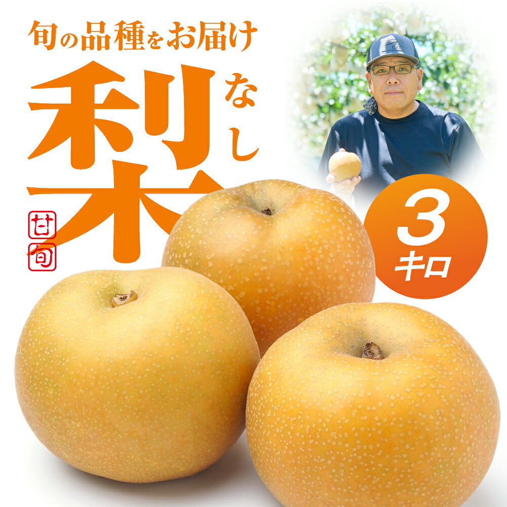 【ふるさと納税】先行予約 朝倉さんの『小島梨』 3kg 高糖度 和梨 糖度12度 以上 8月 9月 5玉〜9玉 フルーツ 果物 なし 梨 幸水、凛夏、秋麗、あきづき、甘太 希少 特別 先行予約 こだわり 楽天限定 道の駅とよはし 先行予約 秋 愛知県 豊橋市