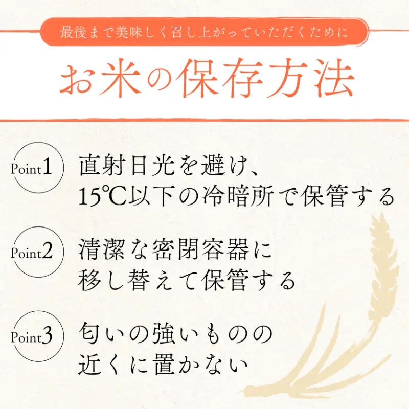 【令和8年産】 先行予約 新米 きぬひかり 10kg ( 5kg ×2) 3回定期便 令和8年産 定期便 米 キヌヒカリ
