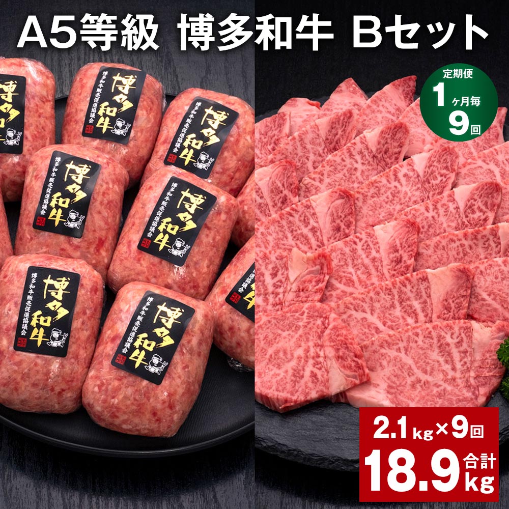 【ふるさと納税】【定期便】【1ヶ月毎9回】A5等級 博多和牛 Bセット 計18.9kg（2.1kg×9回） 博多和牛100%贅沢本格手ごねハンバーグ 【訳あり】博多和牛ヒレ焼肉 牛肉 お肉 和牛 冷凍 福岡県産 国産 九州 福岡県 糸田町 送料無料
