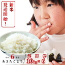 【ふるさと納税】【6回定期便】白米 10kg 令和6年産 あきたこまち 岡山 あわくら源流米 K-bg-CDCA