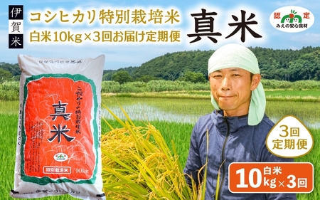 伊賀米コシヒカリ特別栽培米「真米」白米10kg×3回お届け定期便【ymnk-tkb0002】
