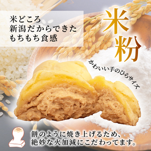 シュークリーム カスタード きなこ きな粉 もちもち 米粉 シュークリーム シュークリーム シュークリーム iei004