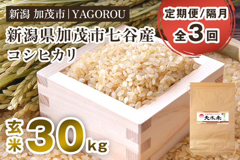 
            【令和7年産新米先行予約】【定期便3回隔月お届け】新潟県加茂市 七谷産コシヒカリ 玄米30kg 《10月中旬～順次発送》 新潟産コシヒカリ 豊かな山水で育った天水米 加茂市 YAGOROU ヤゴロウ
          