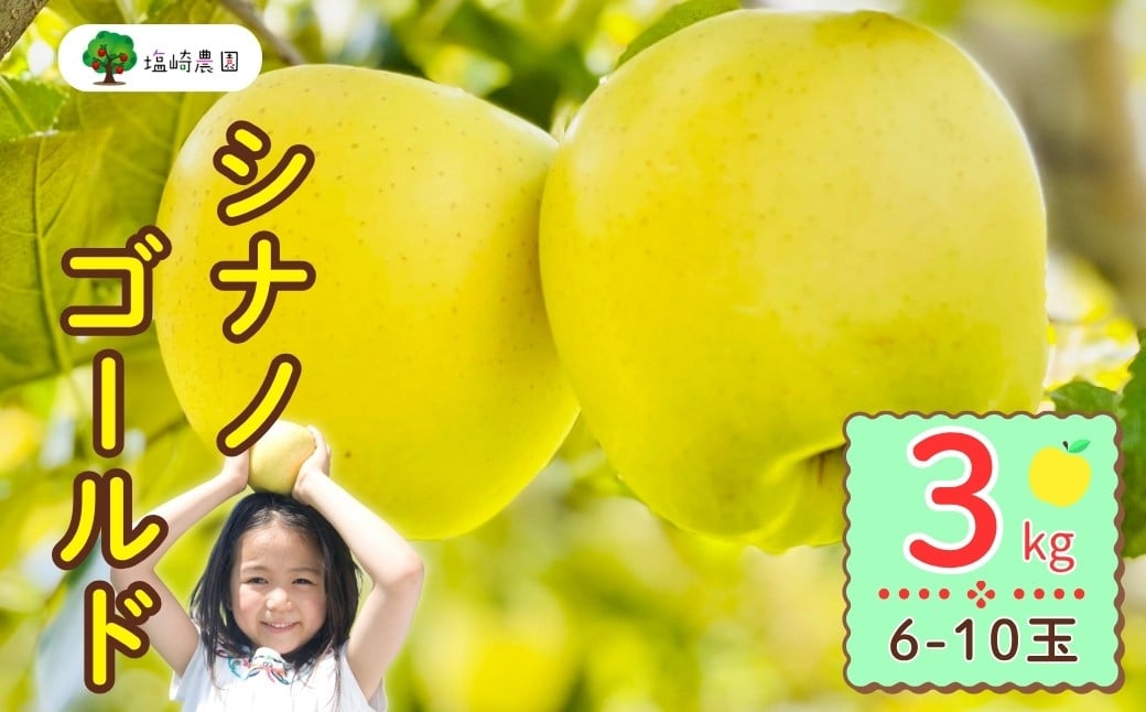 
            【先行予約】シナノゴールド【約3ｋｇ(6〜10玉)】(7-A25-1)
          