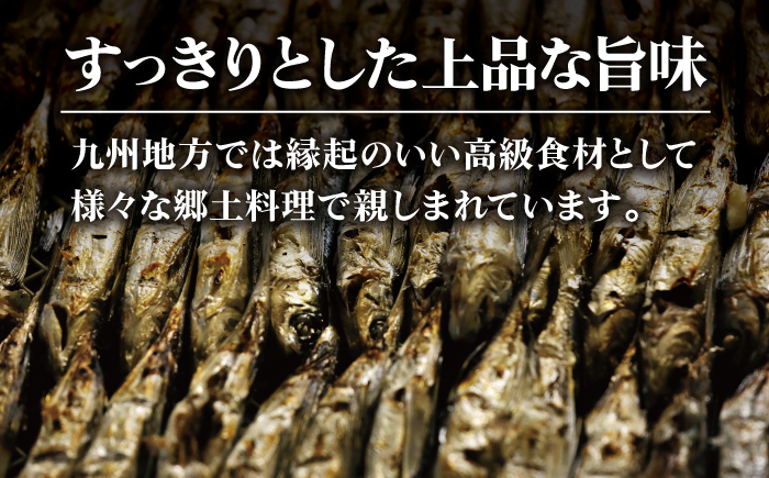 【年4回定期便】3ヶ月に1回お届け！ 厳選 焼きあご 100g×6袋【新魚目町漁業協同組合】 [RBC006]