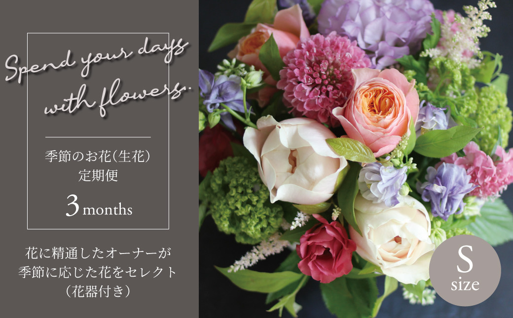 
            【毎月お届け】季節のお花（生花・花器付き）の定期便・Sサイズ　3か月 〈 フラワーアレンジメント 花 定期便  記念日 誕生日 お祝い ギフト プレゼント インテリア 自宅用 全国発送 送料無料 冷蔵 そのまま飾れる かわいい ※お届け日指定不可  〉
          