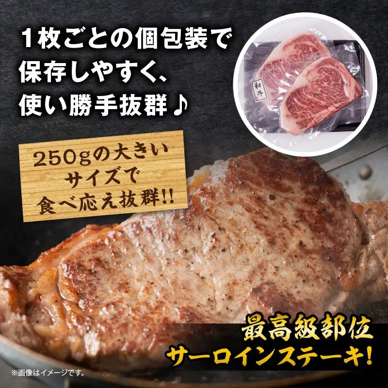 宮崎県産 黒毛和牛 サーロインステーキ 計500g(250g×2枚) 肉 牛肉 ビーフ 国産 ステーキ肉 おかず 食品 BBQ バーベキュー 焼肉 鉄板焼き おすすめ 人気 個包装 小分け 真空パック