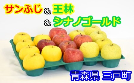 りんご【サンふじ＆王林＆シナノゴールドセット】約5kg（14～18玉）【2025年産・先行予約】★2025年12月上旬～12月下旬頃に発送予定★ 青森県三戸町産