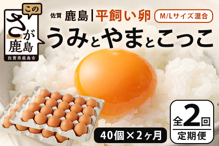 【定期便 2回】平飼い卵「うみとやまとこっこ」上田養鶏場 たまご40個 × 2ヶ月【合計80個】佐賀県鹿島産 卵 タマゴ D-200