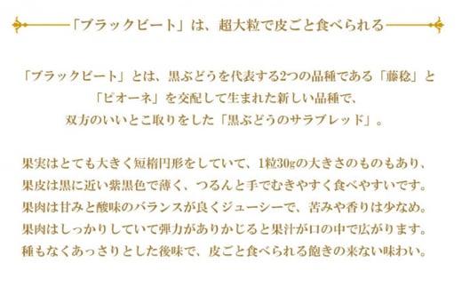 ぶどう 2024年 先行予約 ブラックビート 約2kg 3房～6房 ブドウ 葡萄  岡山県産 国産 フルーツ 果物 ギフト[No.5220-1454]