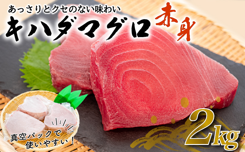 【訳あり】 キハダマグロの赤身 2kg まぐろ赤身 鮪の刺身