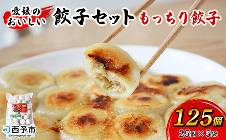 ＜愛媛のおいしい餃子セット もっちり餃子 合計125個(25個×5袋)＞ぎょうざ ギョーザ 餃子 国産 丸餃子 もっちり 国産野菜 ブランド豚 鍋 浅野食品 愛媛県 西予市【冷凍】『1か月以内に順次出荷予定』OAH0001