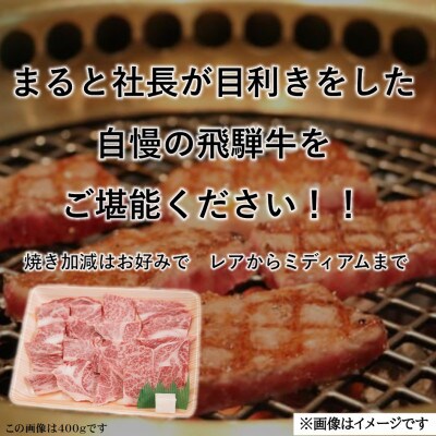飛騨牛霜降り焼き肉牛脂付き　500g×2パック　(合計1kg)【配送不可地域：離島】