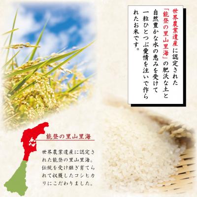 ふるさと納税 宝達志水町 米 定期便 能登米 こしひかり 5kg×3回 総15kg [中橋商事 宝達志水町 38601206] |  | 01