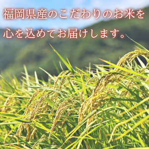 ＜数量限定＞無洗米・真空パック「夢つくし」(計7.5kg・750g×10袋) お米 おこめ 米 こめ コメ 白米 無洗米 福岡県産 夢つくし5合 真空 真空パック ごはん ご飯 常温 常温保存【ksg