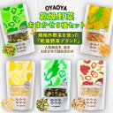 【ふるさと納税】OYAOYA乾燥野菜おまかせ5種セット 詰合せ 詰め合わせ ねぎ ネギ 九条ネギ くれない 京くれない 大根 ダイコン だいこん 聖護院大根 人参 にんじん ニンジン 玉ねぎ たまねぎ タマネギ 送料無料 即席 防災 非常食 保存食 地震対策