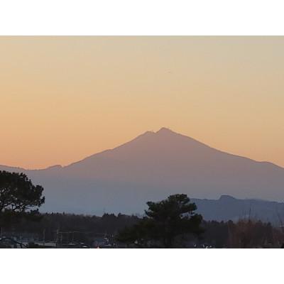 ふるさと納税 石岡市 茨城県産こしひかりミックス 白米5kg 令和7年産 |  | 02