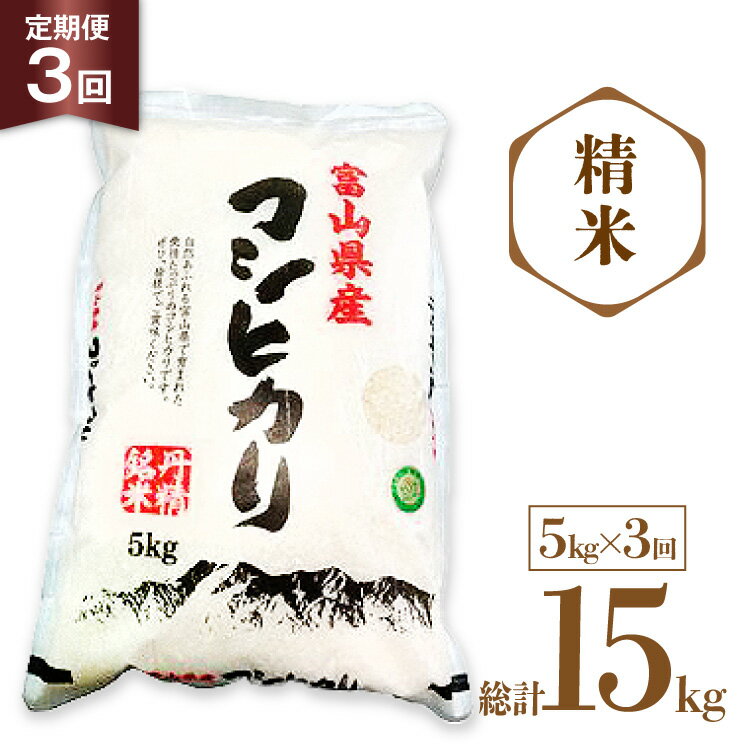 【ふるさと納税】 米 令和7年産 コシヒカリ 精米 5kg 3回 定期便 [サンライス青木 富山県 朝日町 34310564] お米 おこめ こめ kome コシヒカリ 精米 定期便 定期 5キロ 3ヶ月 令和7年 ごはん
