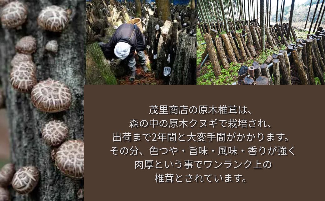 【訳あり】 原木椎茸 不揃い椎茸 10袋セット | 椎茸 シイタケ きのこ キノコ 不揃い 乾燥しいたけ お料理 小分け プレゼント 袋詰め 九州 送料無料 津久見市【tsu006003】