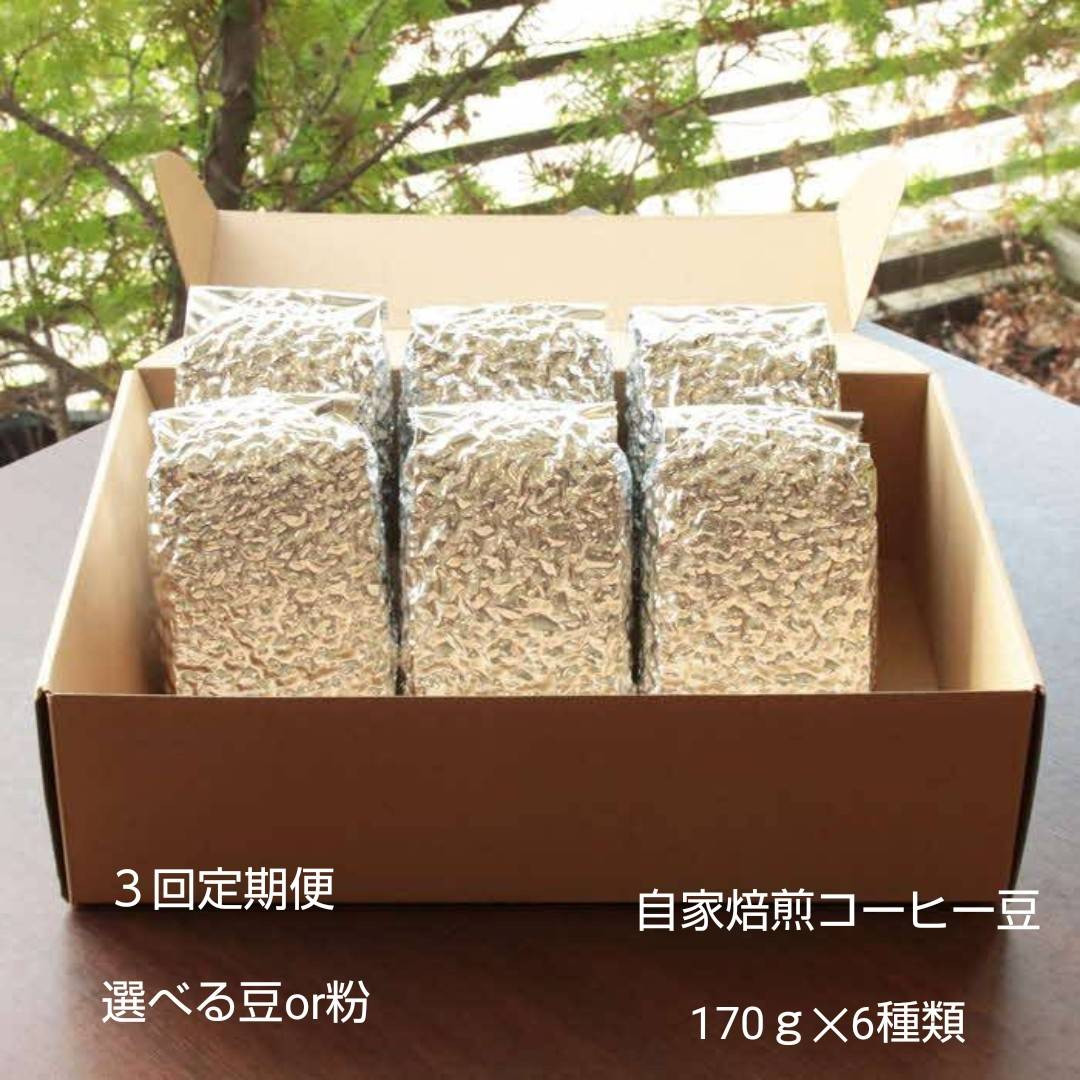 【定期便3回】米国スペシャリティー認定豆170ｇ×6袋を毎月お届け！ 322032_DC012