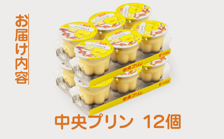 プリン3p 12個セット プリン 中央製乳