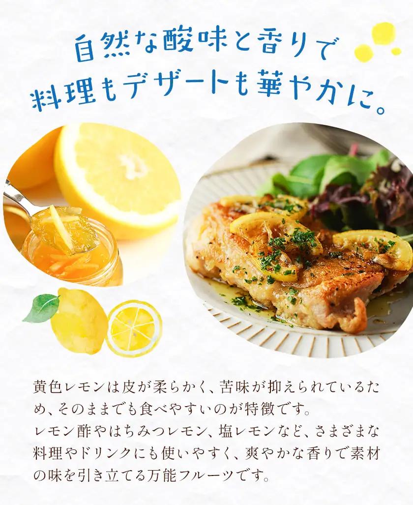 レモン 訳あり 3kg 株式会社農業福祉研究機構