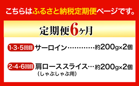 【6ヶ月定期便】美星牛 定期便 ハレノヒ良品 牛 肉