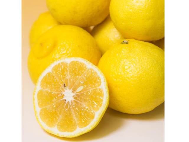 【ふるさと納税】はるか（約4.5kg）熊本県産みかん　令和8年1月下旬～3月中旬に発送します