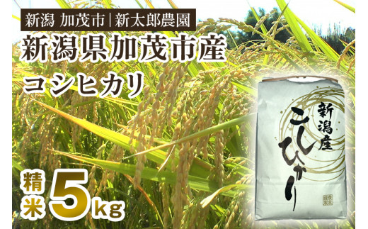 【令和8年産新米先行予約】新潟産コシヒカリ 精米 5kg（5kg×1袋）《9月下旬～順次出荷》 コシヒカリ 新潟産 米  お米 白米 有機肥料で育ったこだわり米 加茂市 新太郎農園