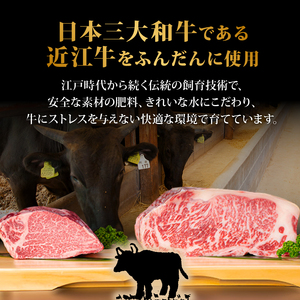 【 ハンバーグ 】 近江牛 入り ハンバーグ 15個