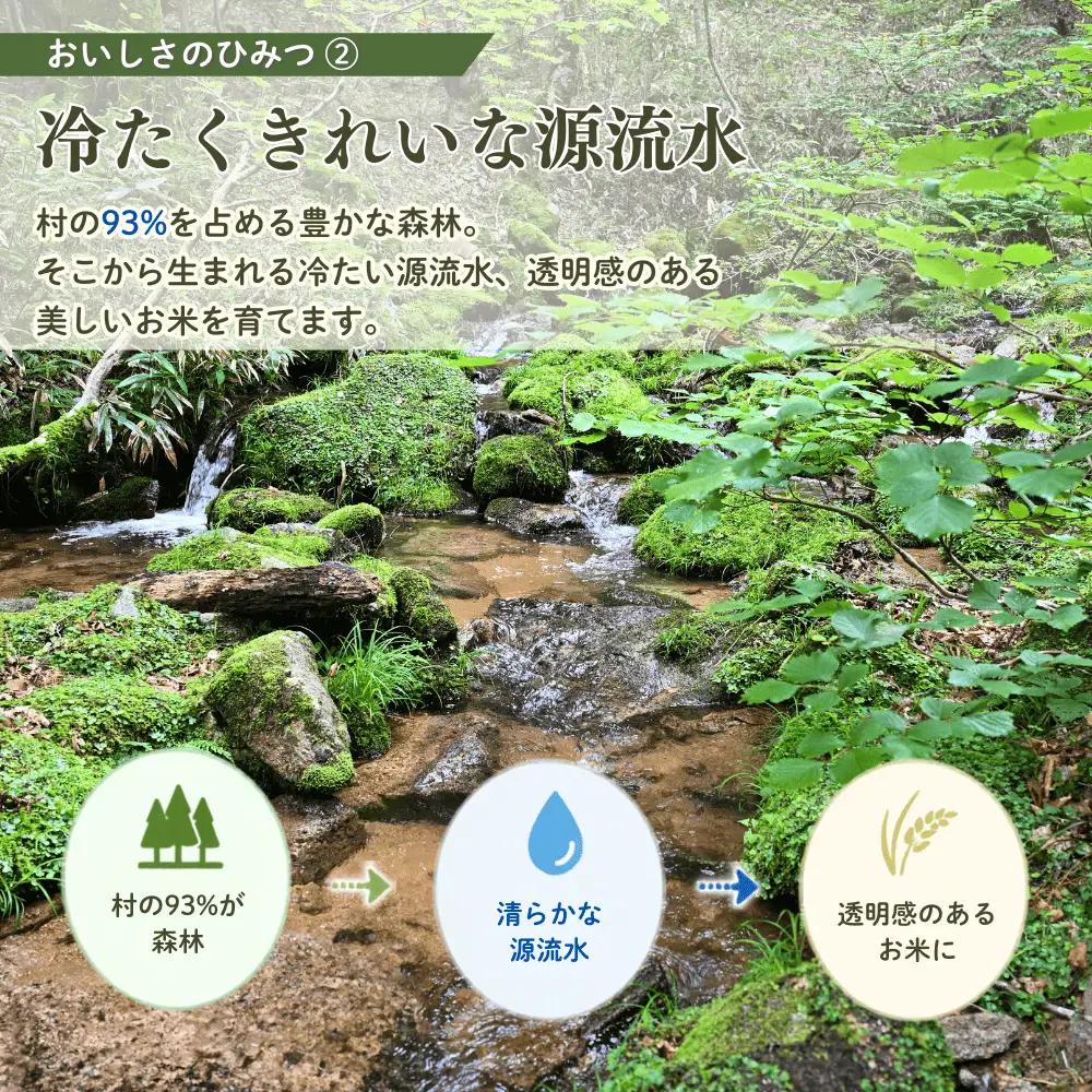 ５年連続完売のお米！ あわくら源流米 あきたこまち 白米 10kg 【 3回 定期便 】 令和８年産 新米 先行予約 K-bg-BFCA