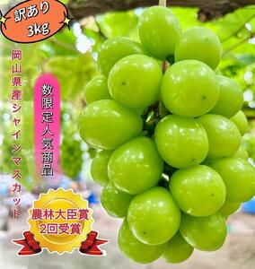 ぶどう 2026年  シャインマスカット 家庭用 約3kg  家庭用 ギフト 農林大臣賞2回受賞 贈り物 岡山 果物 フルーツ  採りたて発送 農家直送 数量限定 新鮮  訳あり7月中旬から発送