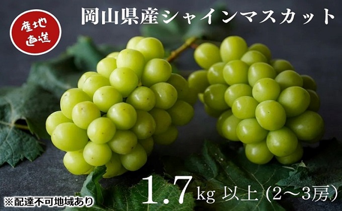 厳選 シャインマスカット 2～3房 合計1.7kg以上 産地直送 朝採れ ぶどう 葡萄 Kawahara Green Farm 岡山県産 2024年