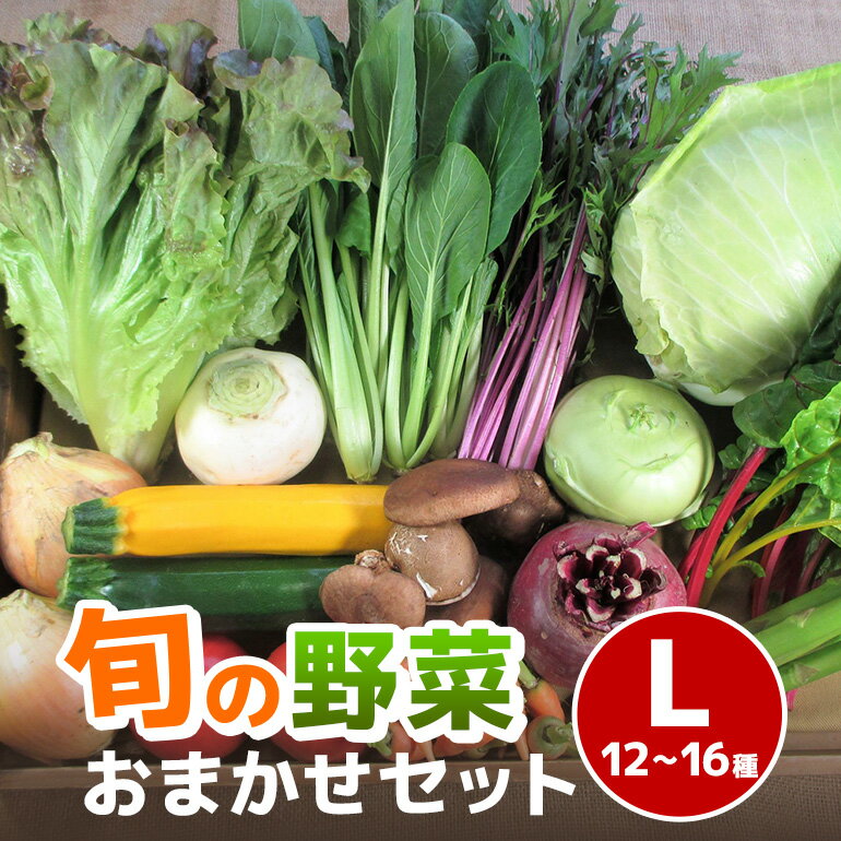 【ふるさと納税】旬の野菜【L】セット【配達不可：北海道・沖縄・離島】 詰合せ