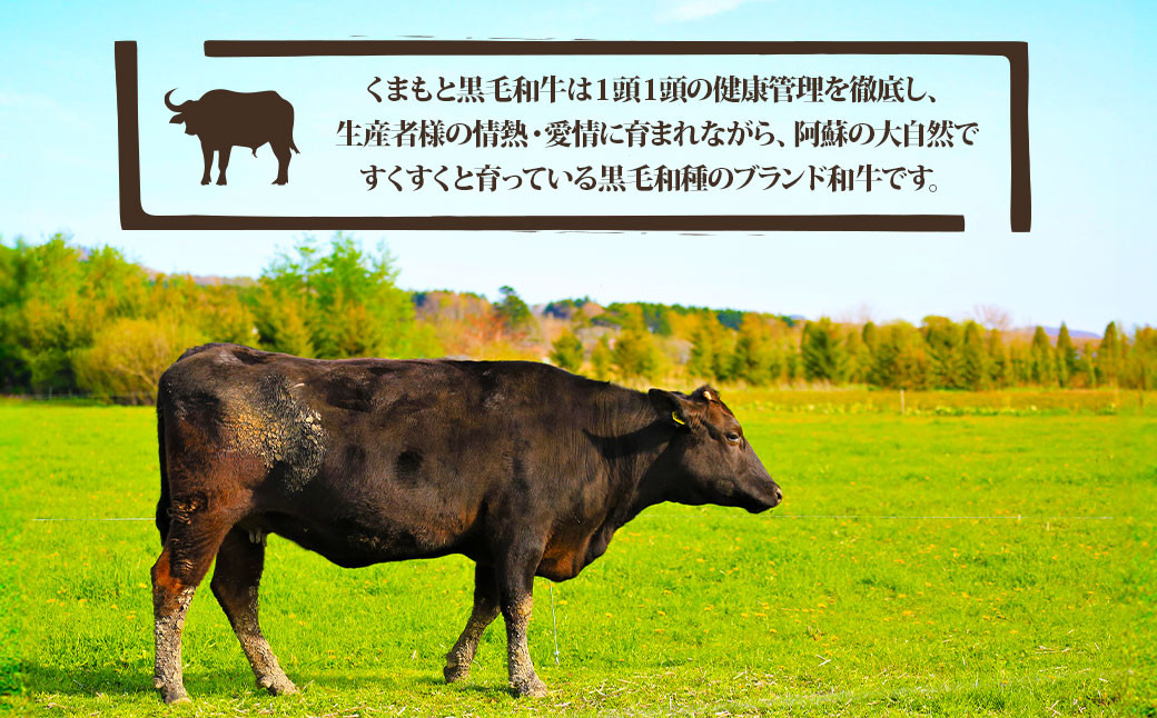 くまもと黒毛和牛 すきやき用 500g