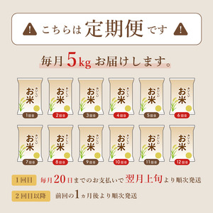 【定期便12回】有機栽培コシヒカリ白米 5kg 京都府産 低農薬 毎月お届け 12ヶ月 【 米 5キロ 精米 白米 こめ コメ お米 おこめ こしひかり 井上吉夫 有機栽培 減農薬 米 5キロ 精米 