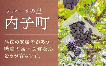ロゼ (巨峰) 約720ml 2本 BKAG011 ワイン