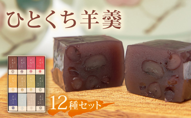 
            ひとくち羊羹『ようこ』12色セット　50g×12個
          