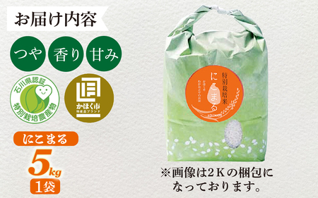 【令和8年産】  にこまる 5kg 【2027年2月配送】 |  にこまる 白米
