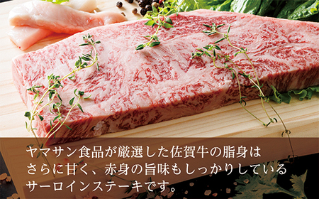 ｍ－６【３回お届け】佐賀牛サーロインステーキ２５０ｇ×２枚が３回届く定期便