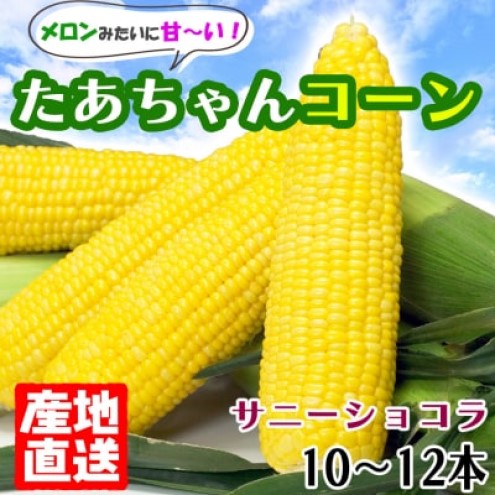 とうもろこし 生でも美味しい スイートコーン 白水農園のたあちゃんコーン 10～12本 約3kg サニーショコラ 野菜 トウモロコシ ※配送不可：沖縄、離島