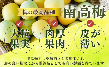 有機栽培　完熟南高梅 3kg | 果実 かじつ カジツ 梅 うめ ウメ 南高梅 奈良県 五條市