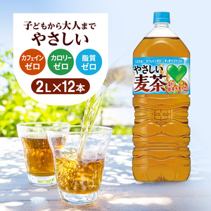 麦茶 サントリー 2L 12本 ペットボトル セット 麦茶